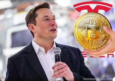 Elon Musk gợi ý Tesla sở hữu khoảng 42000 Bitcoin