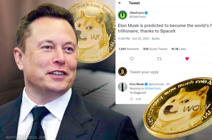 Tỷ phú Elon Musk 1000 tỷ đô la với Dogecoin